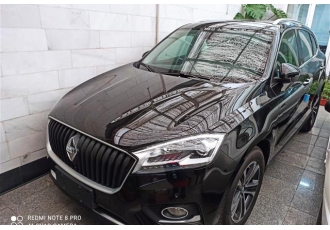 بورگوارد BX7   