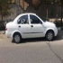 تیبا صندوق دار   