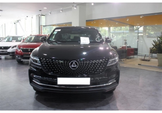 دانگ فنگ دیگنیتی   