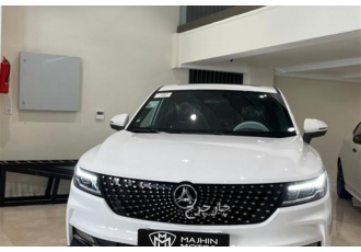 دانگ فنگ دیگنیتی   دانگ فنگ دیگنیتی قسطی