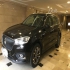 بورگوارد BX7   