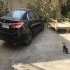 رنو سفران   
