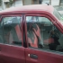 پراید صندوق دار   