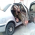 سمند X7   