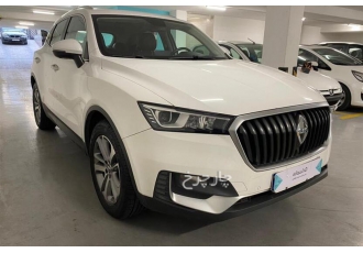 بورگوارد BX5   