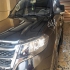 دایون Y7   