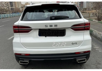 اس دبلیو ام G01   