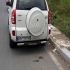 ام وی ام X33   