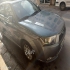 دنا پلاس EF7   