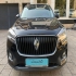 بورگوارد BX7   