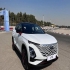 فونیکس FX   فونیکس FX قسطی