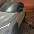 فونیکس FX   