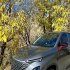فونیکس FX   