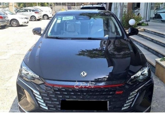 دانگ فنگ شاین مکس   