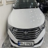 بسترن B30   