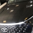 فونیکس FX   