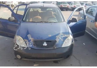 تیبا صندوق دار   