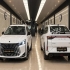 لاماری اکو   
