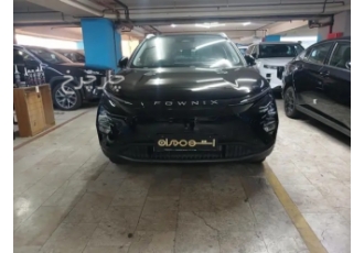 فونیکس FX EV   