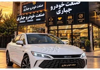 بی وای دی چین ال DMi   