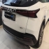 فونیکس FX EV   