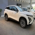 فونیکس FX EV   
