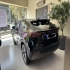 فونیکس FX EV   