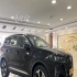 فونیکس تیگو 7 پرو مکس (F7)   